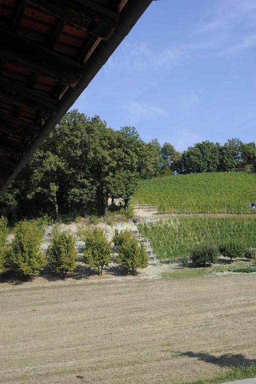 Agriturismo La Bioca Castiglione Falletto Εξωτερικό φωτογραφία